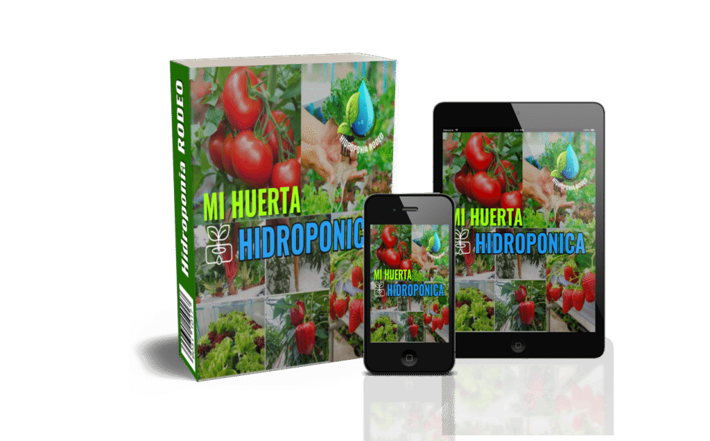 banner Curso huerta hidropónica