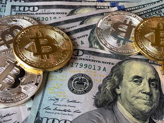 pasta dinero Opinion elite del trading estafa